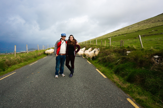 Driving the Dingle Peninsula and getting stopped in the road by
